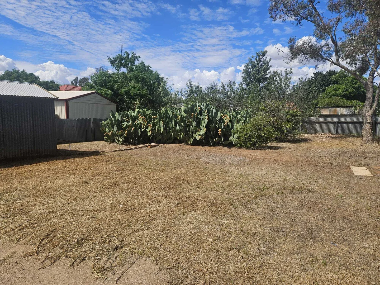 Additional image 14 of 13 Gilbert Street, Crystal Brook SA 5523