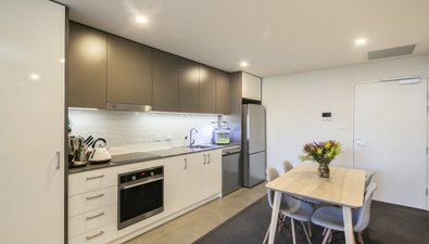 Picture of 7/74 Leichhardt Street, GRIFFITH ACT 2603