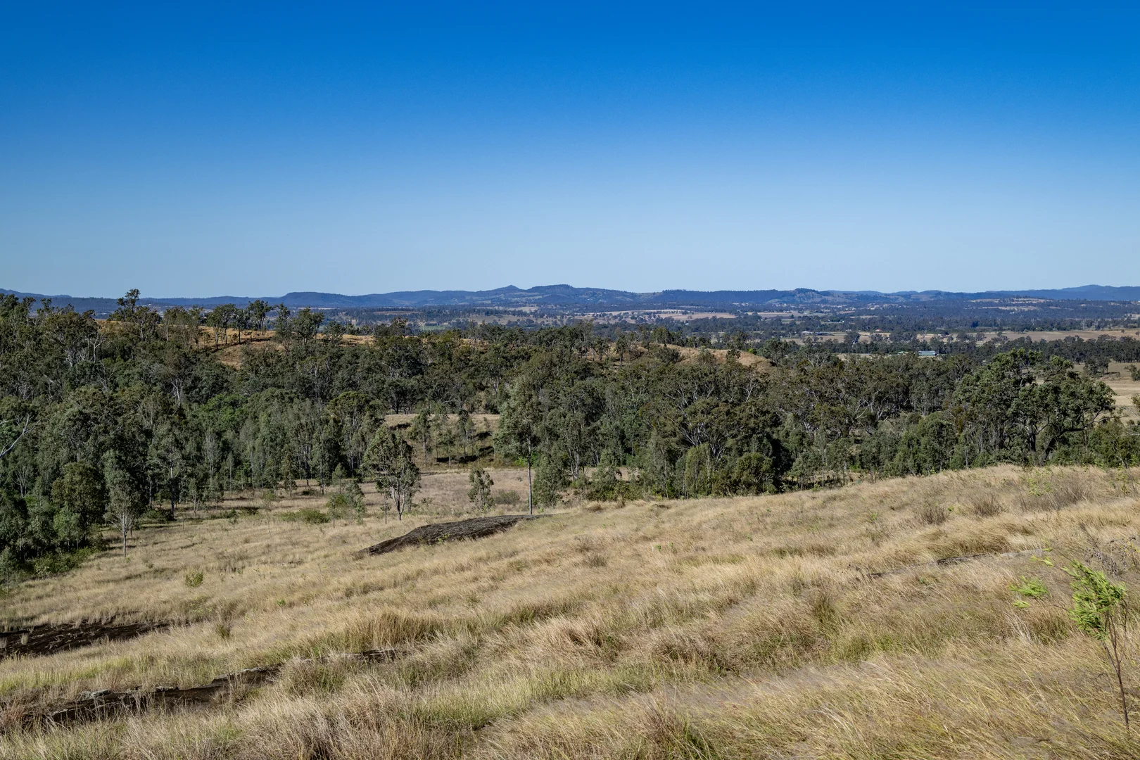 Image 13
