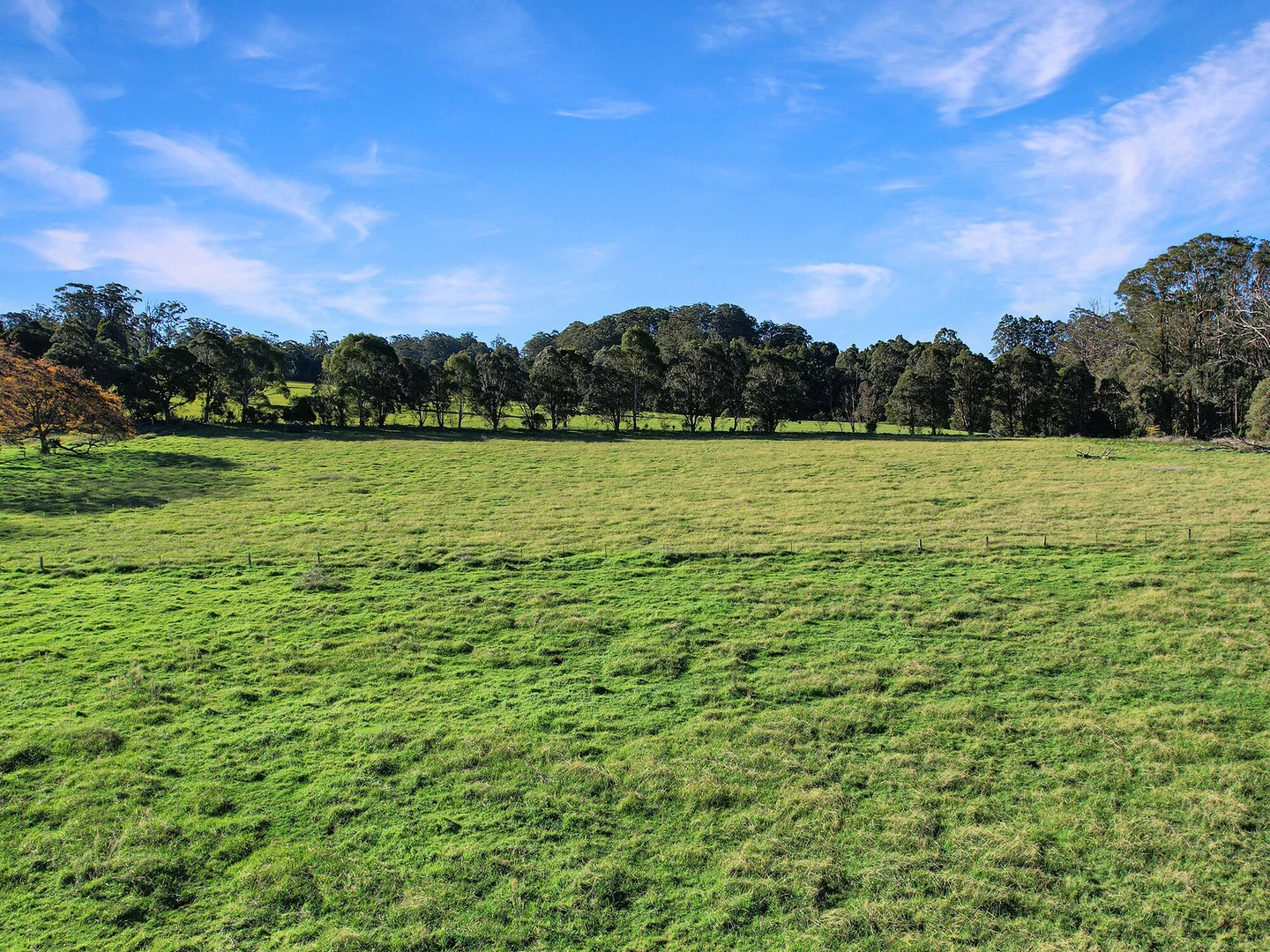 Image 20