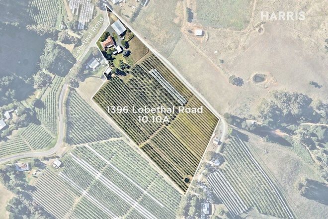 Picture of 1396 Lobethal Road, FOREST RANGE SA 5139