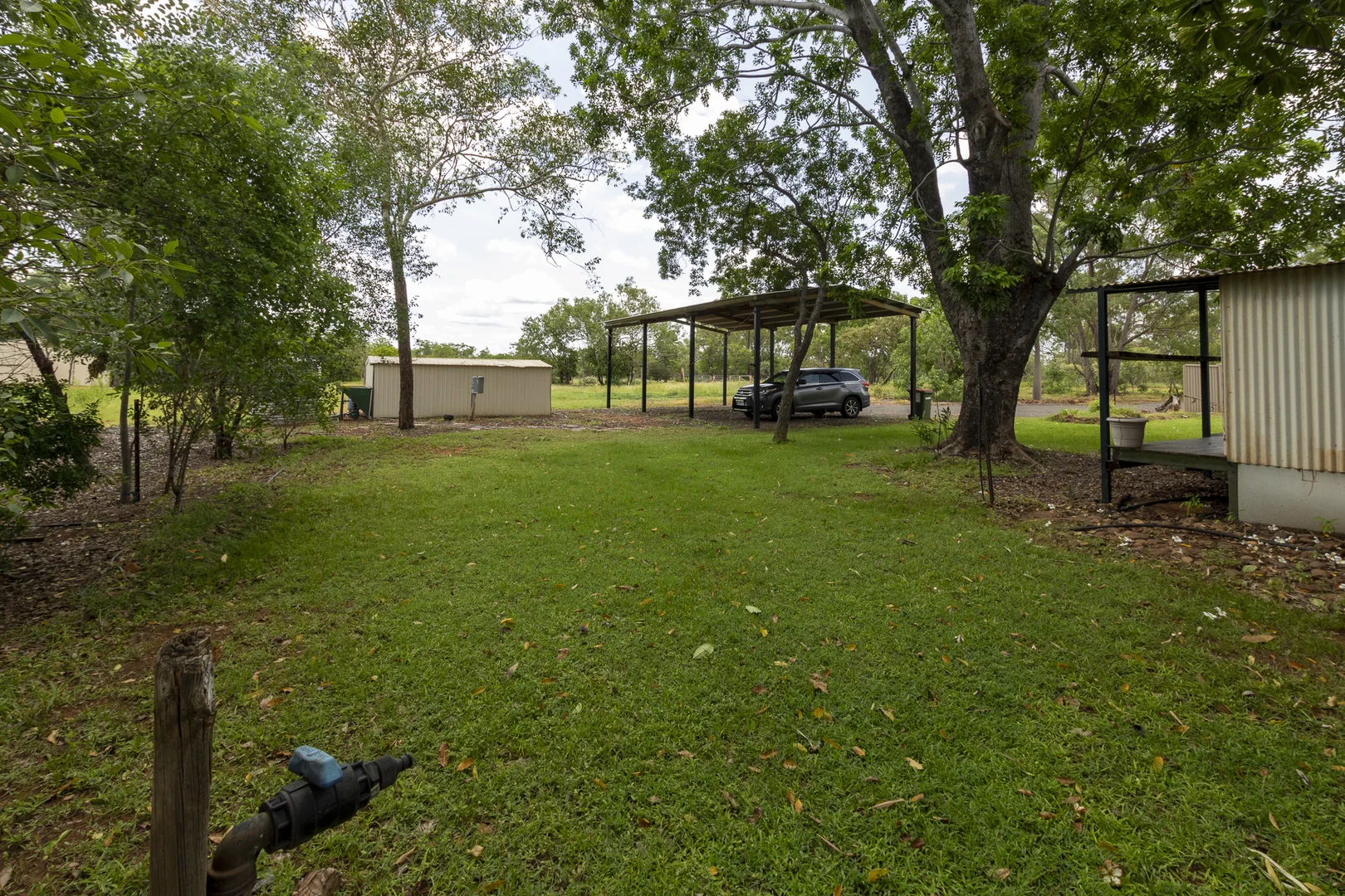 Image 52