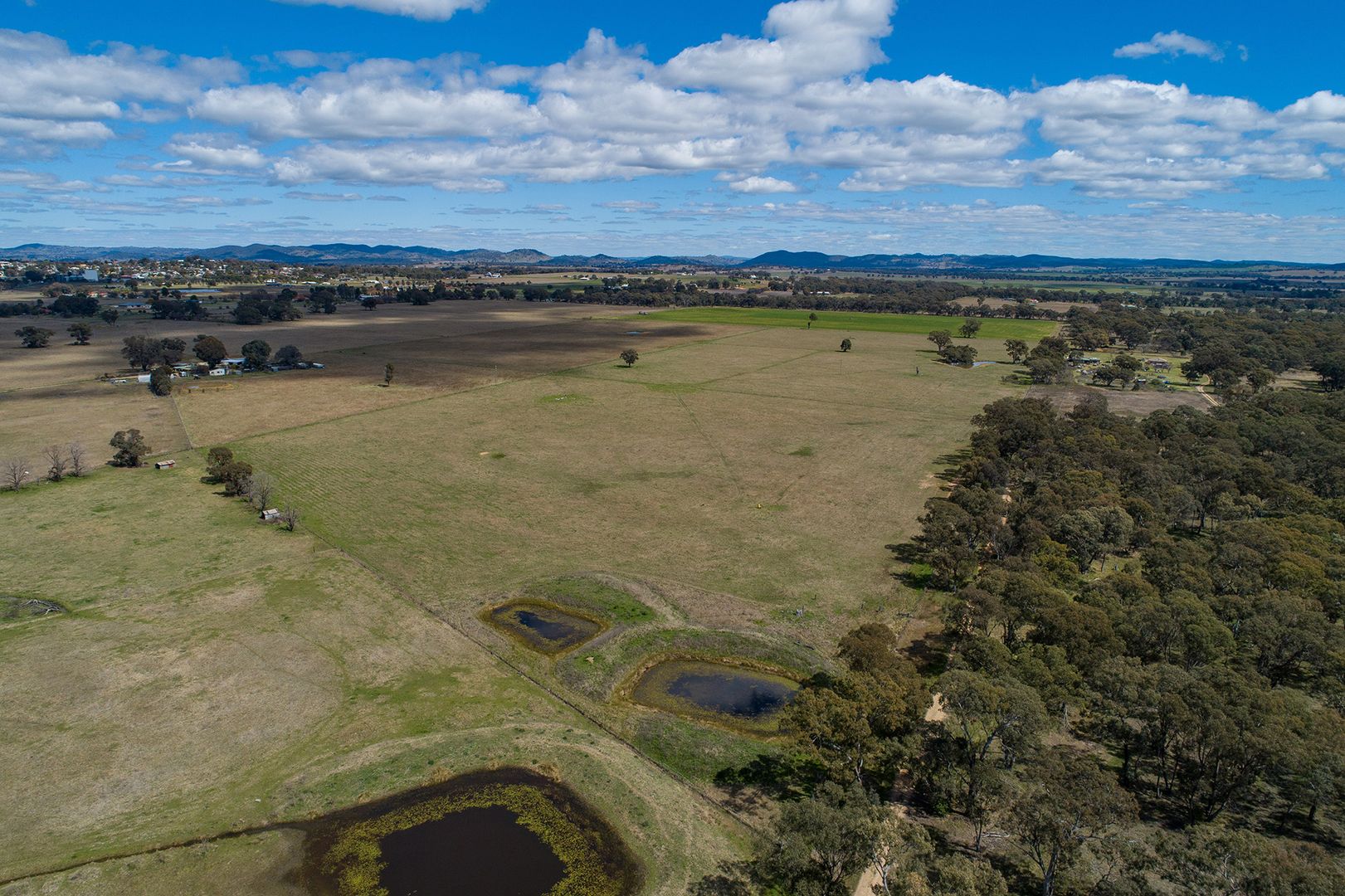 2 Black Lead Lane, Gulgong NSW 2852, Image 2