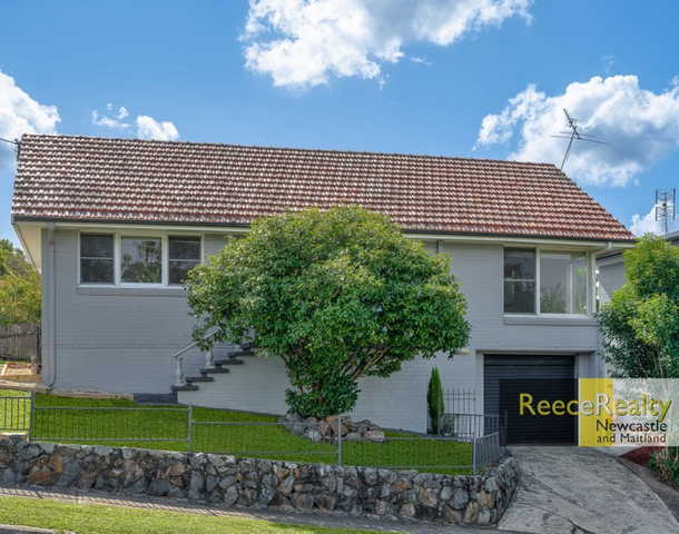 2 Alderson Street, Shortland NSW 2307