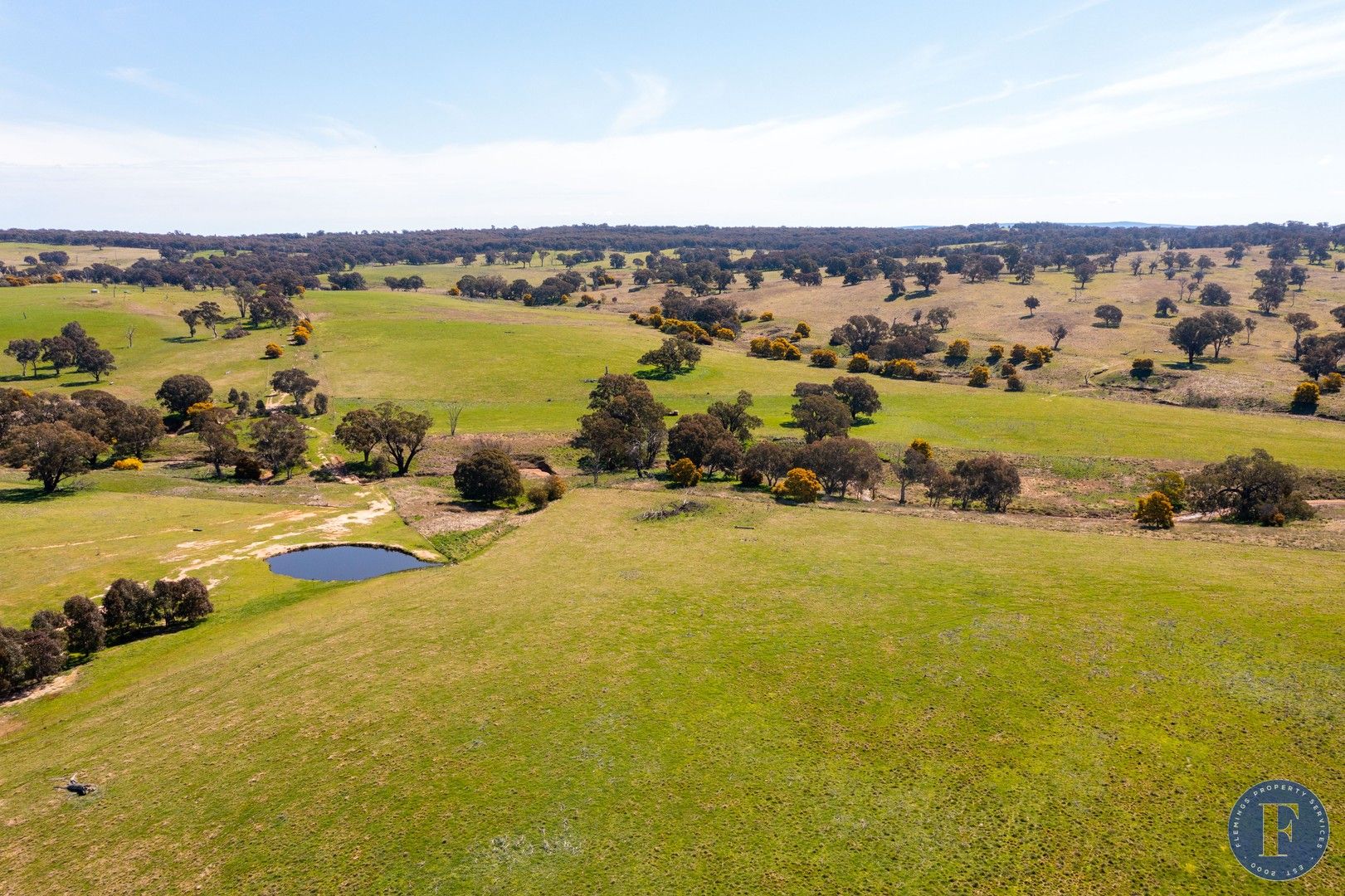 254-490 Cains Road, Boorowa NSW 2586, Image 0