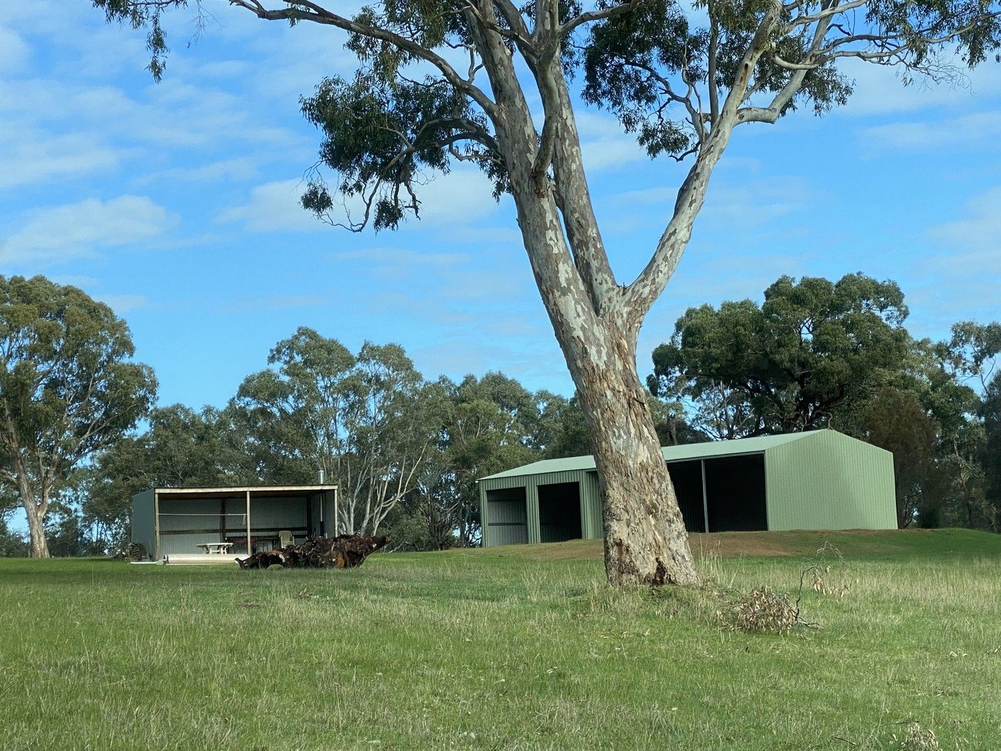 4242 ColeraineBalmoral Road, Balmoral VIC 3407 House for Sale