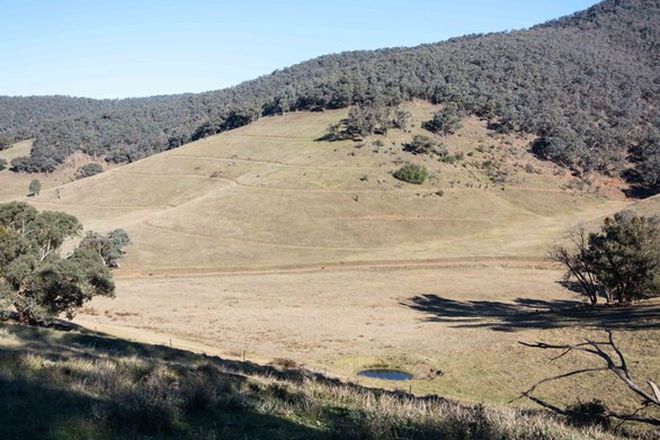 Picture of 43 Cemetery Gully Road, TONGIO VIC 3896