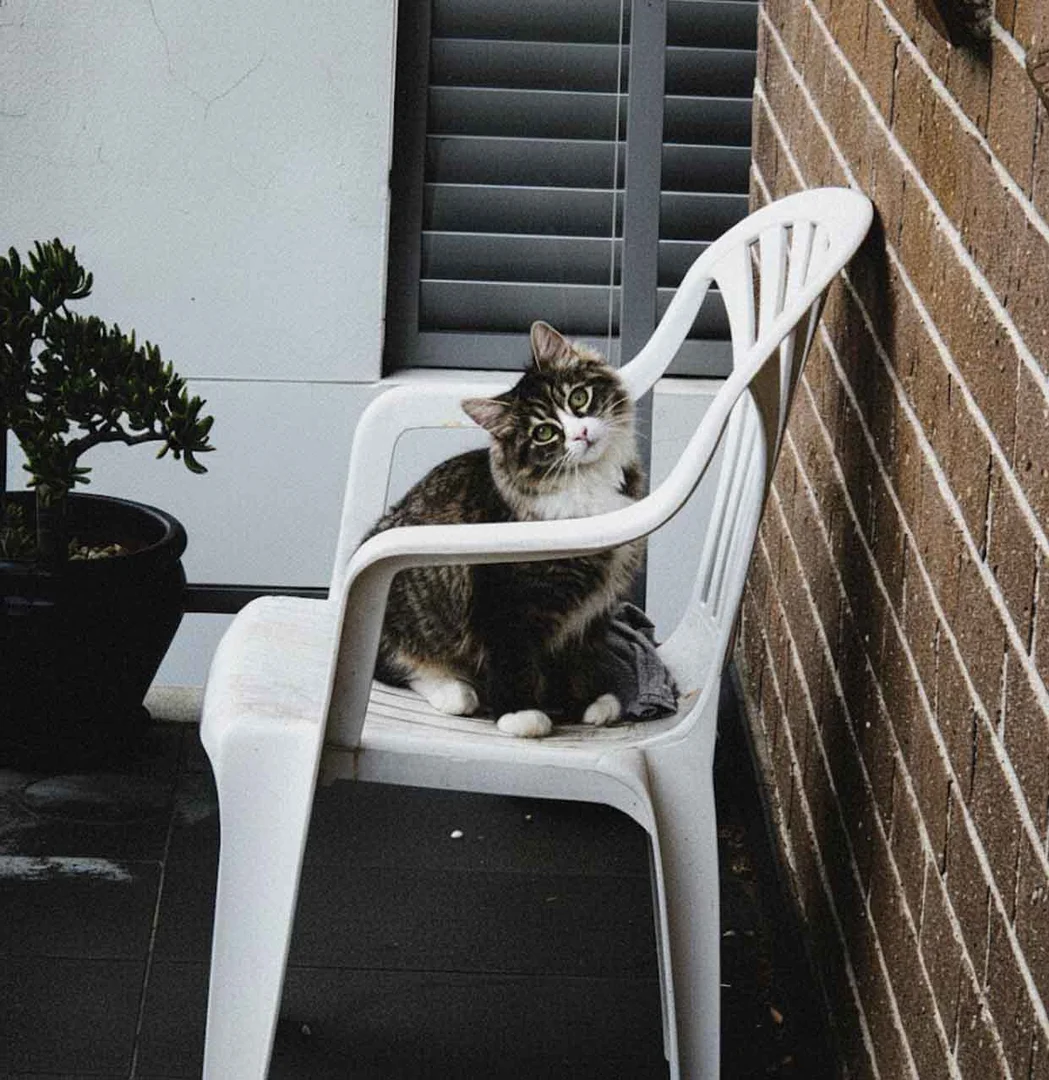 Additional image 13 of 12/38-40 Gover Street, Peakhurst NSW 2210