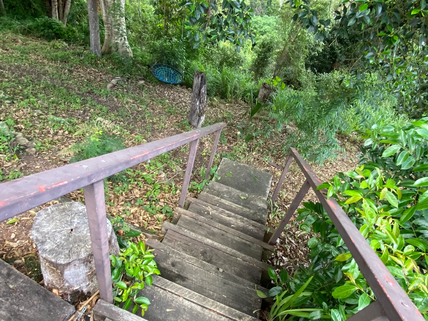 Image 10