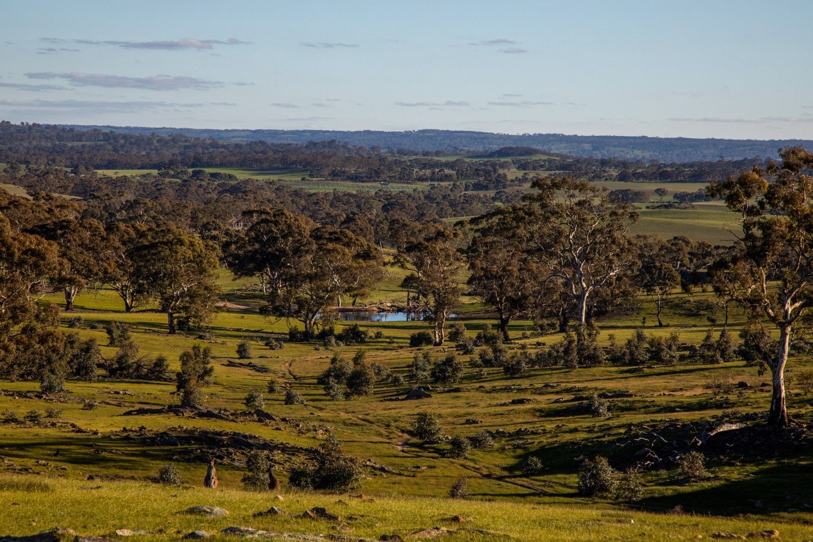 Red Creek Keyneton Road Keyneton Sa 5353 Farm For Sale Domain