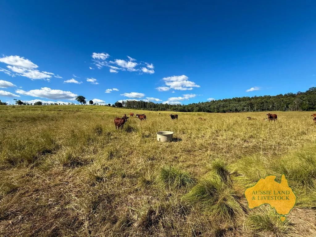 Additional image 56 of 268 Back Creek Road, Stalworth QLD 4613