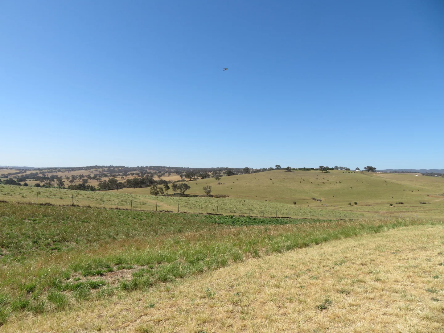 Additional image 14 of 2/491 Gormans Hill Road, Gormans Hill NSW 2795