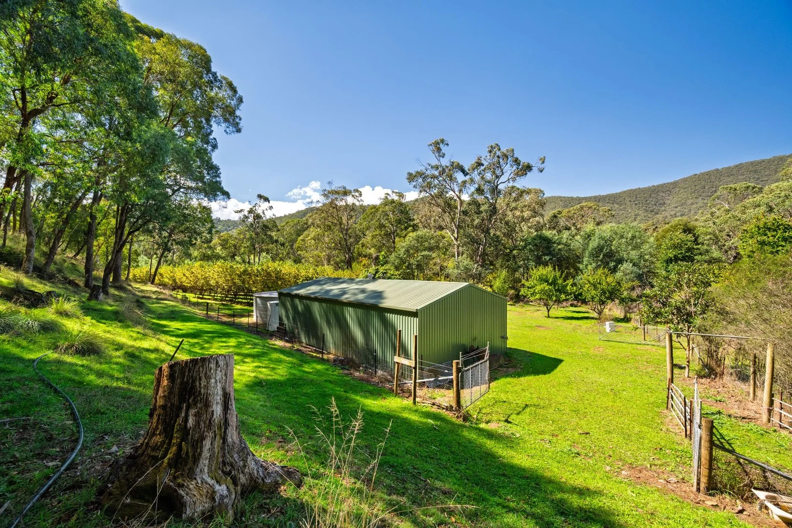 Primary image of 828 Morses Creek Road, Wandiligong VIC 3744