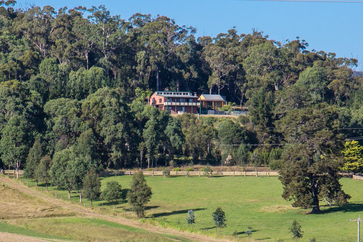 407 Candelo Road, Wolumla NSW 2550, Image 1