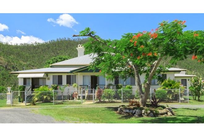 Picture of 449 Rockonia Road, LAKES CREEK QLD 4701