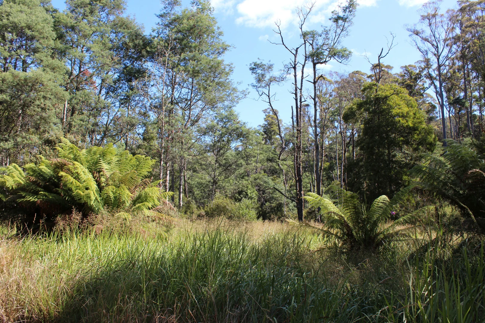 Additional image 8 of 188 Bassetts Road, Calder TAS 7325