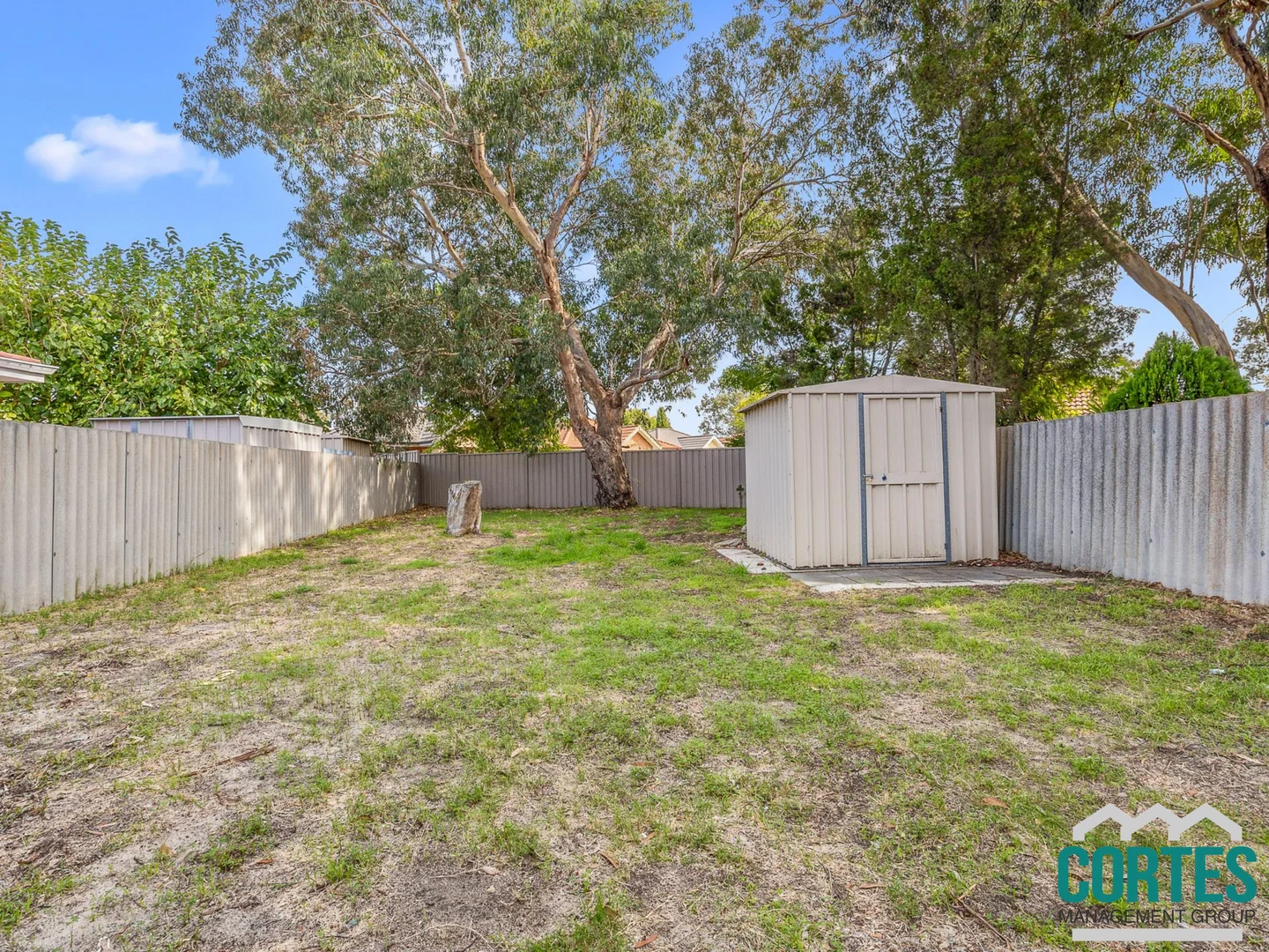 Image 16
