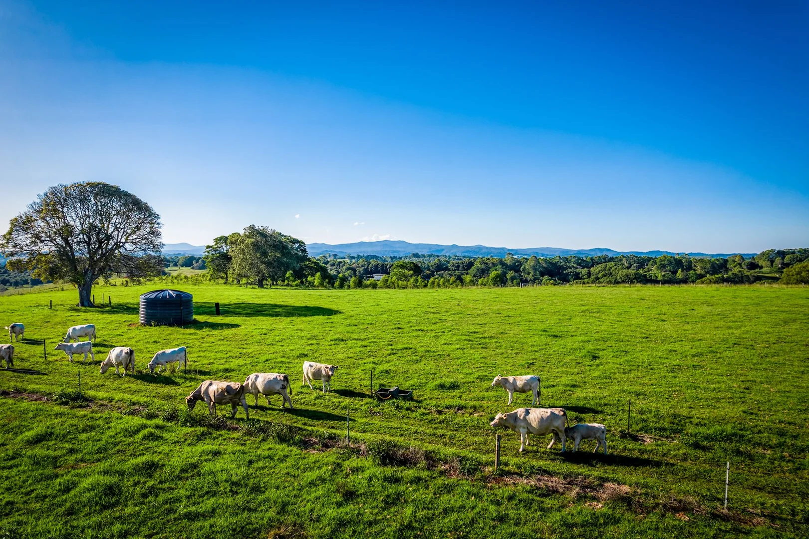 Additional image 16 of 79 Johnston Road, Clunes NSW 2480