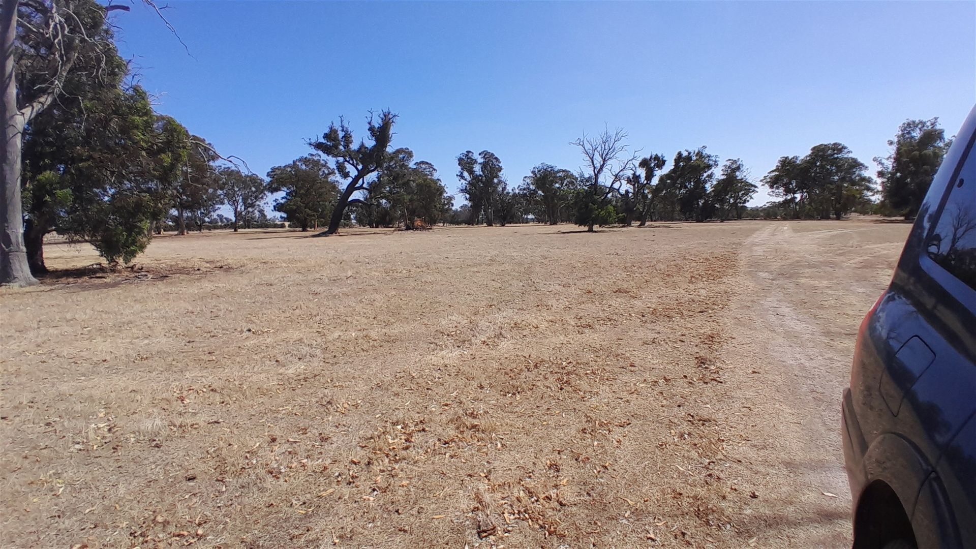 Lot 715/715 Mattiske Road, Katanning WA 6317 Mixed Farming Property