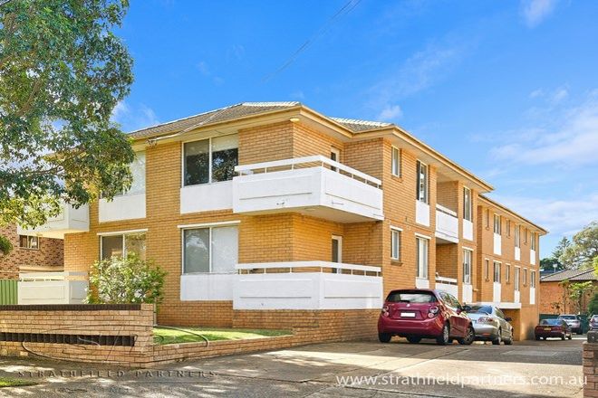 Picture of 49 Third Avenue, CAMPSIE NSW 2194