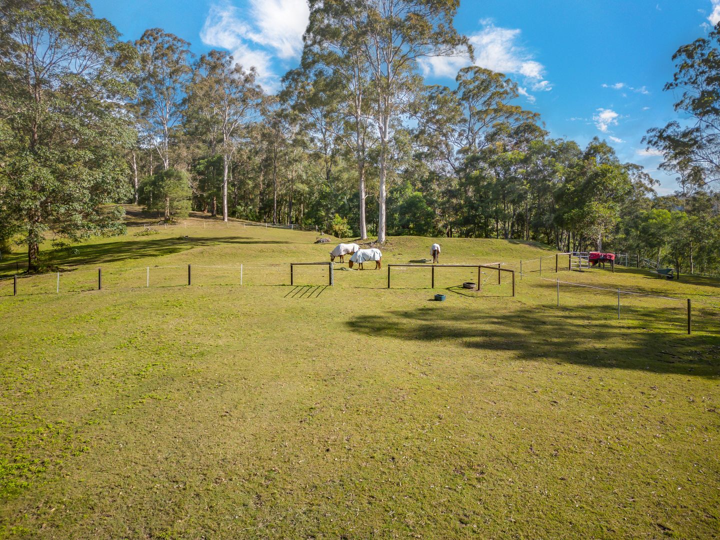 149 Whittings Road, Guanaba QLD 4210 House for Sale 1,799,000