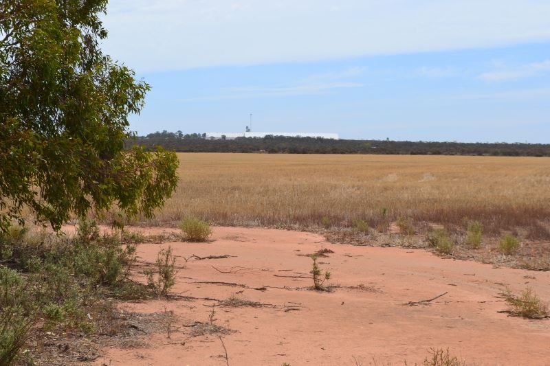 ' Hopwoods/Marshall Rock ’, Bencubbin WA 6477, Image 2