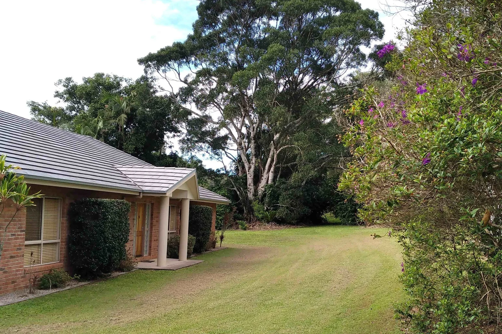 Image 15