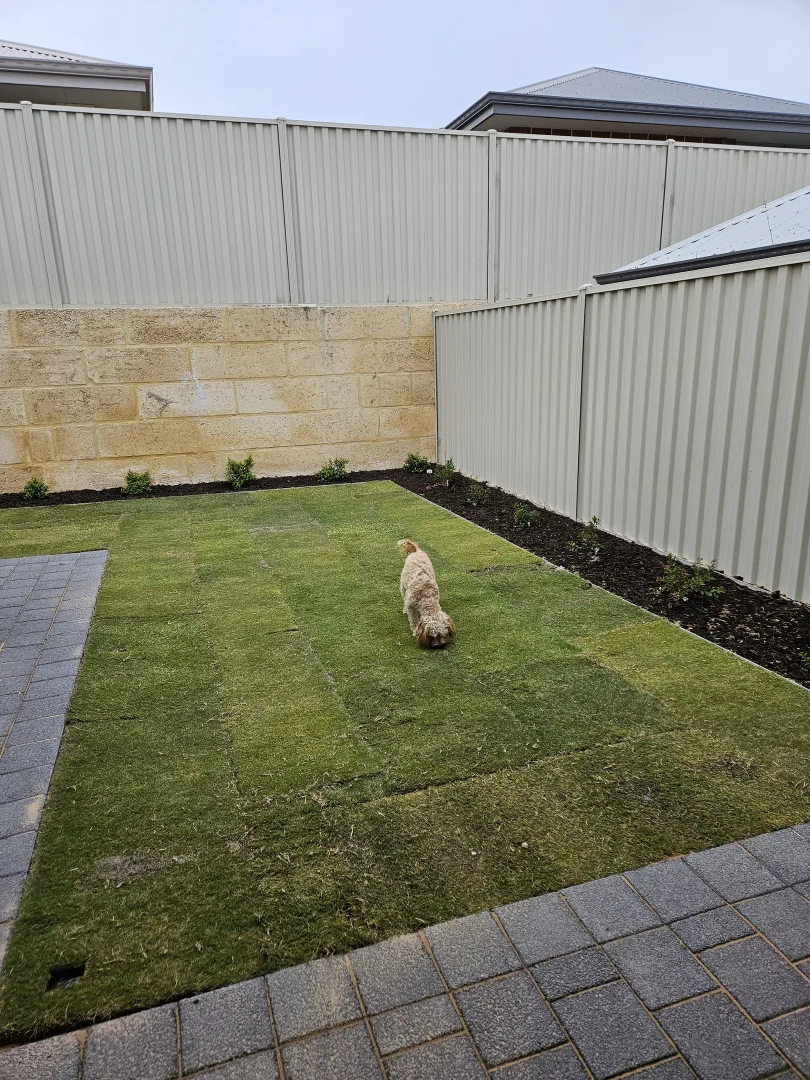 Additional image 18 of 14 Bantry Grove, Golden Bay WA 6174