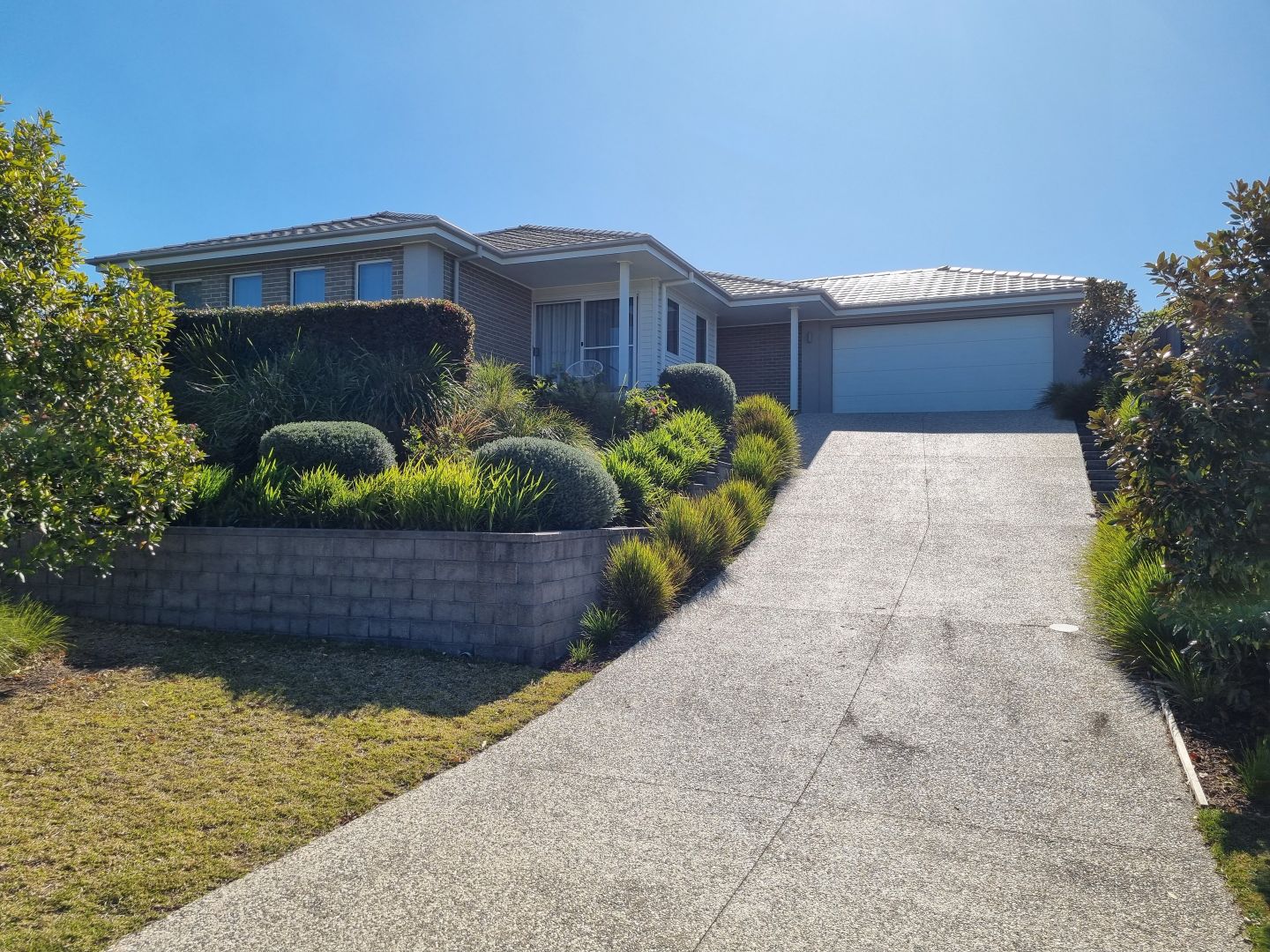 12 Satinwood Crescent, Kew NSW 2439 Domain