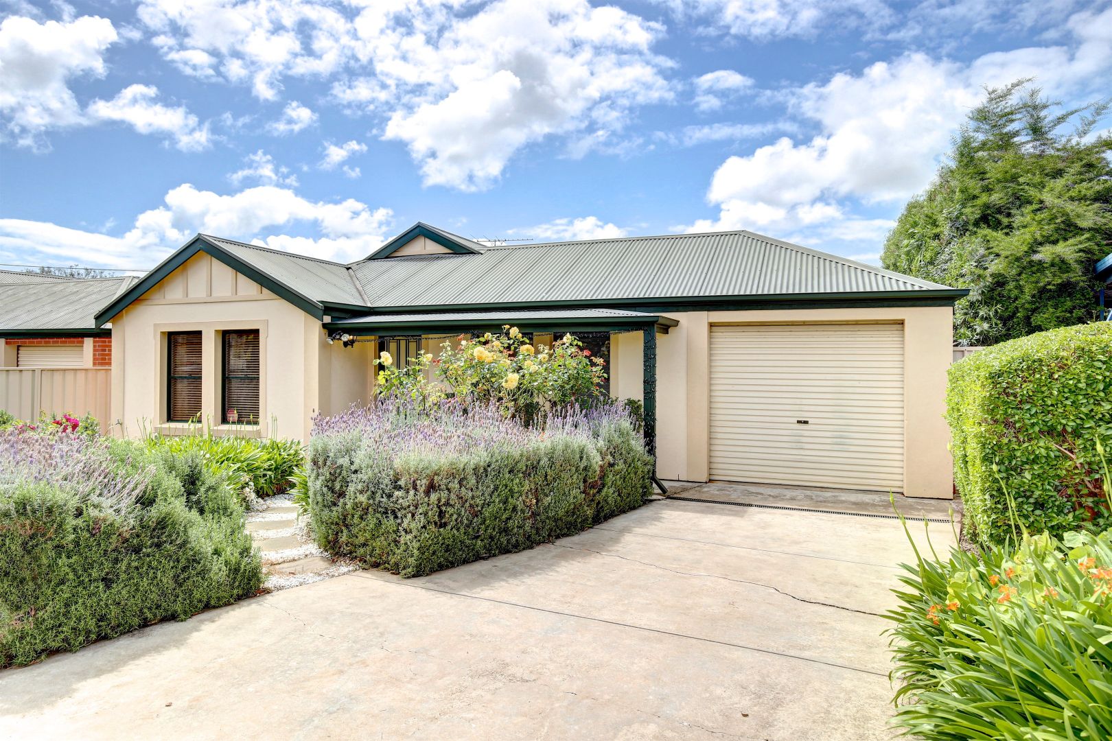 19A Sutton Avenue, Garden Property History & Address