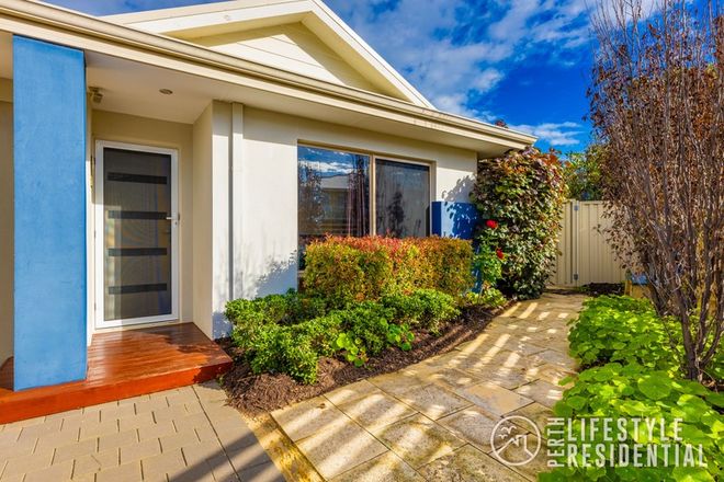 Picture of 35 Tinsel Street, YANCHEP WA 6035