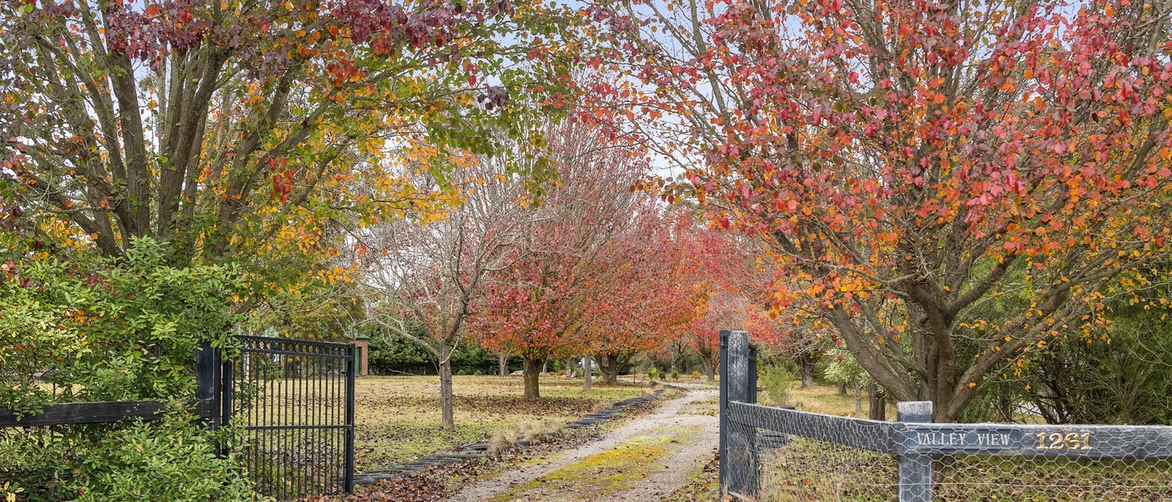 1261 Joadja Road, Joadja NSW 2575 - House for Sale | Domain