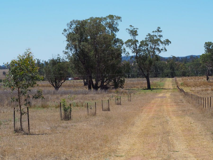 4151 Road, Bingara NSW 2404 Vacant Land for Sale Domain