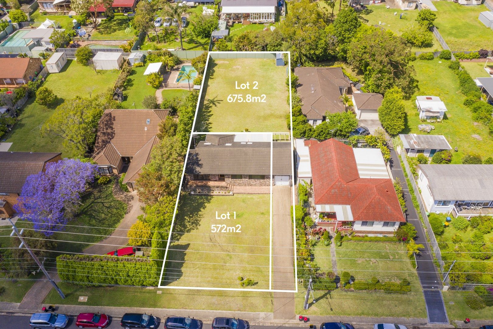 19 Tristram Road, Beacon Hill NSW 2100, Image 0