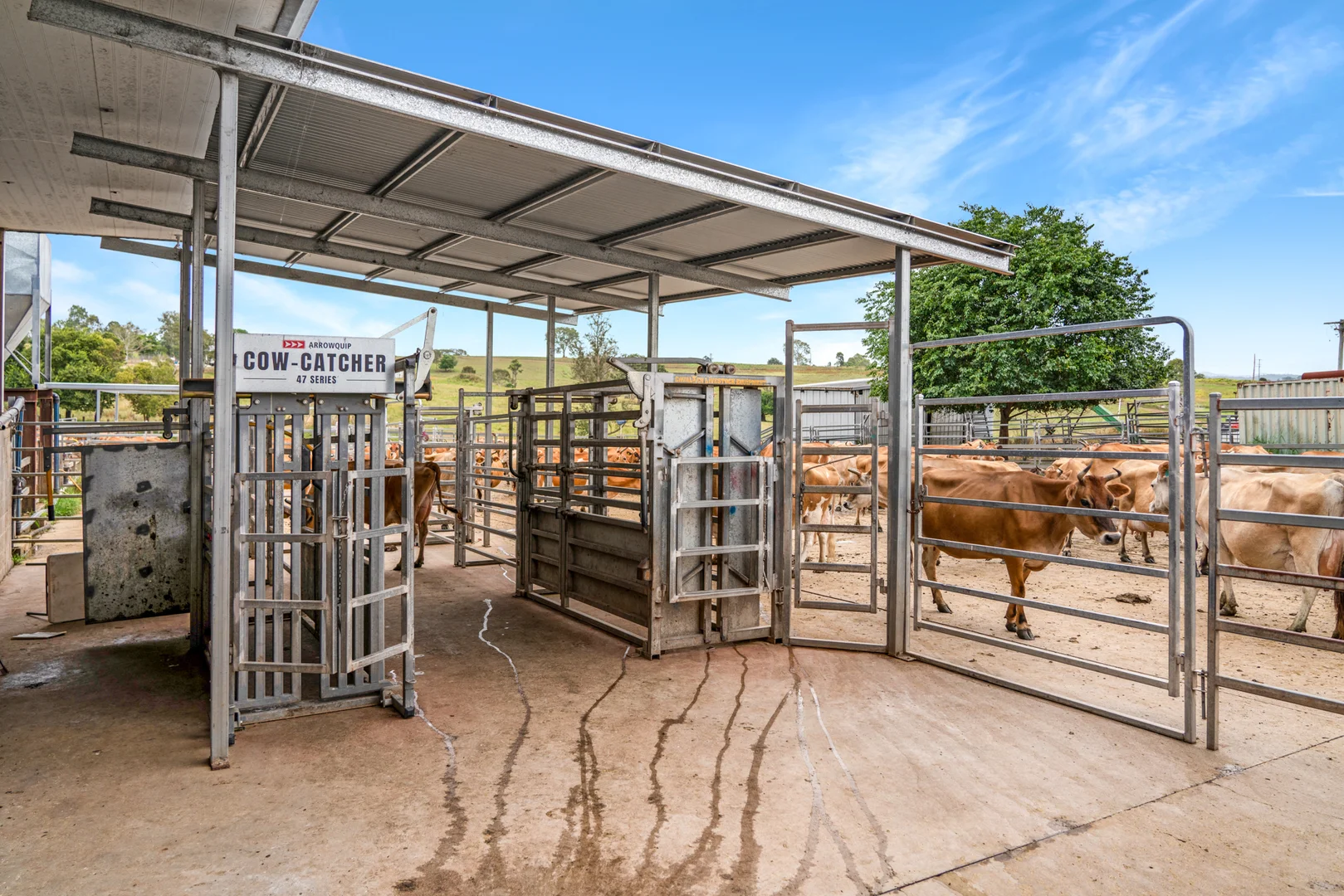 Additional image 5 of 143 Ashton Road, Gilldora QLD 4570