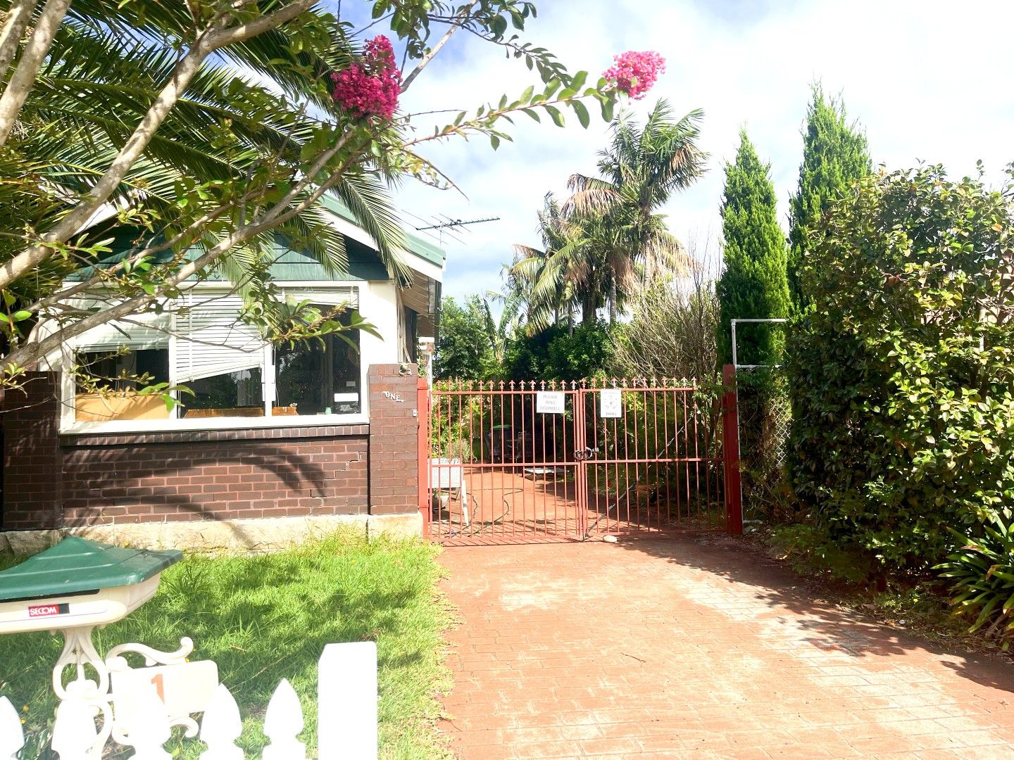 1 Lewins Street, Earlwood NSW 2206 House For Rent Domain