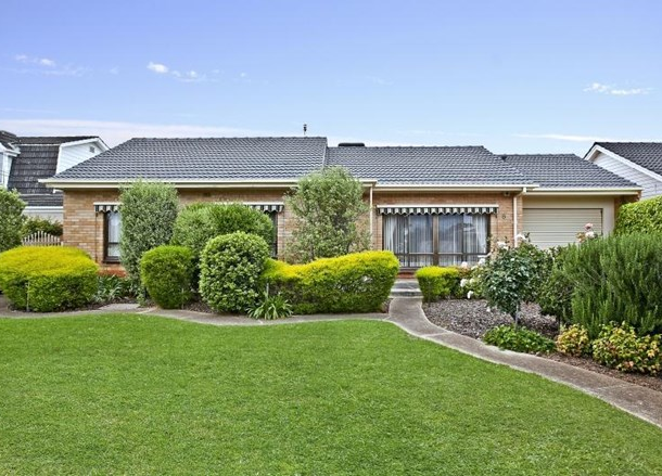 8 Virgo Avenue, Warradale SA 5046