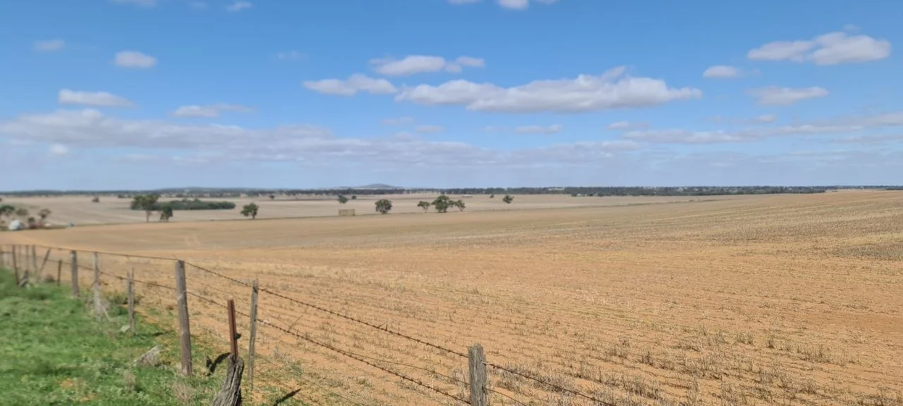 Additional image 5 of 'Grogans' Banyenong-Jeffcott Road, Jeffcott North VIC 3480