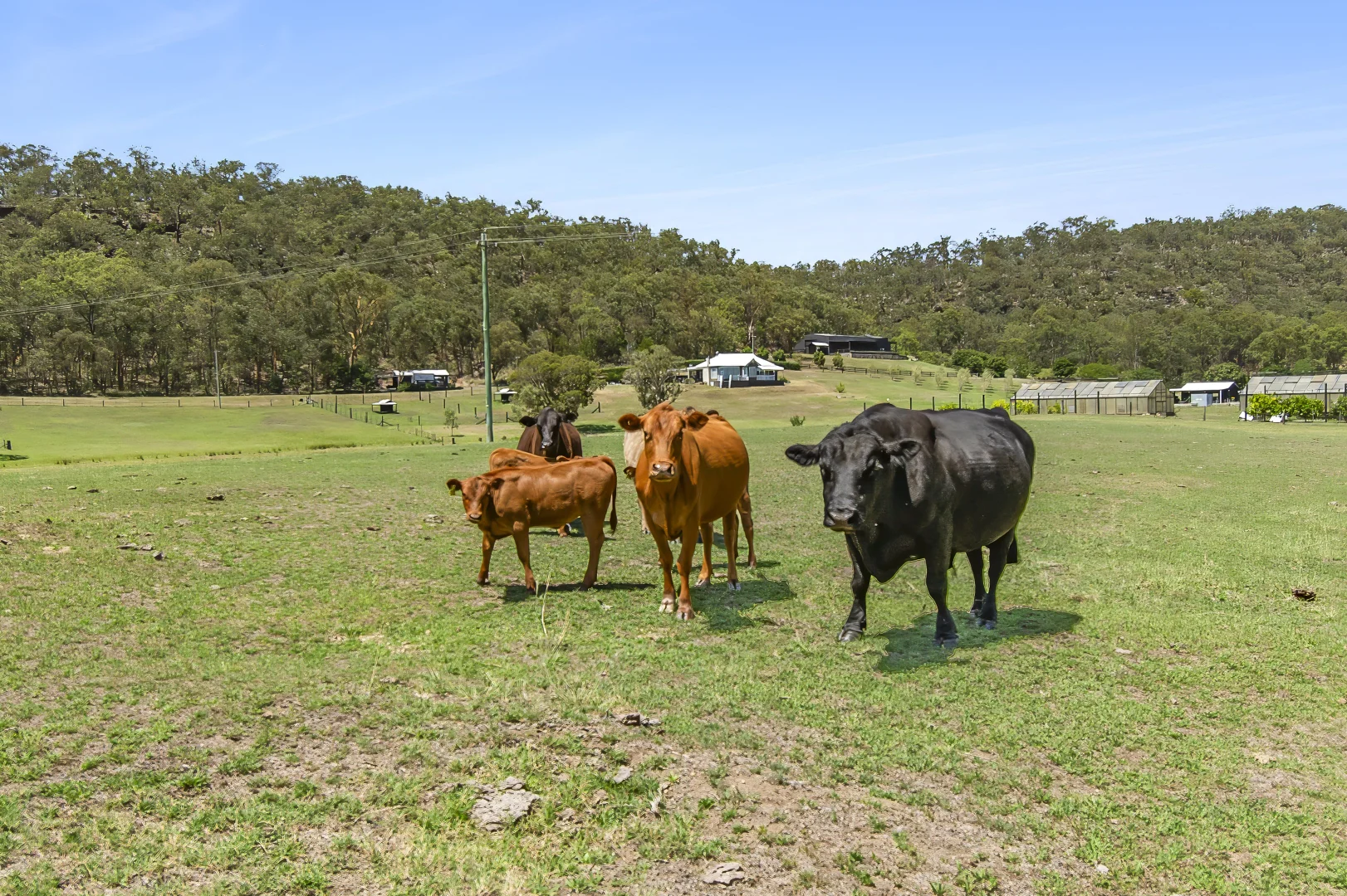 Additional image 13 of 560 Laws Farm Road, Cumberland Reach NSW 2756
