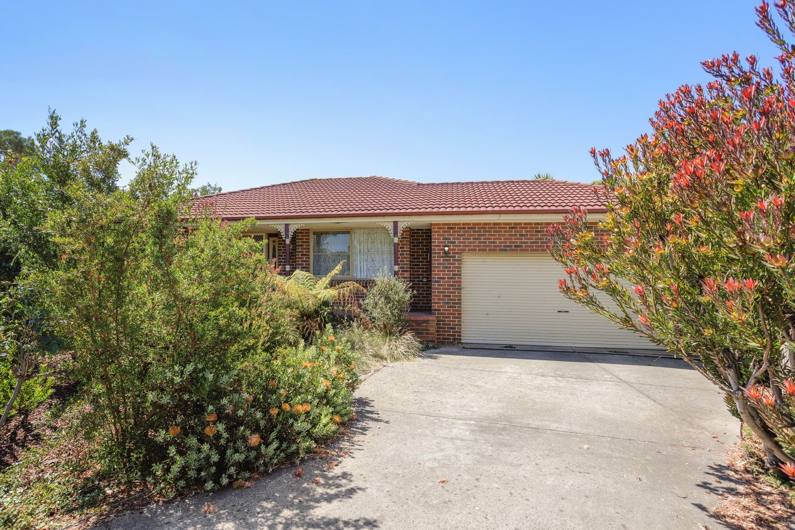 9 Boronia Court, Cowes VIC 3922, Image 1