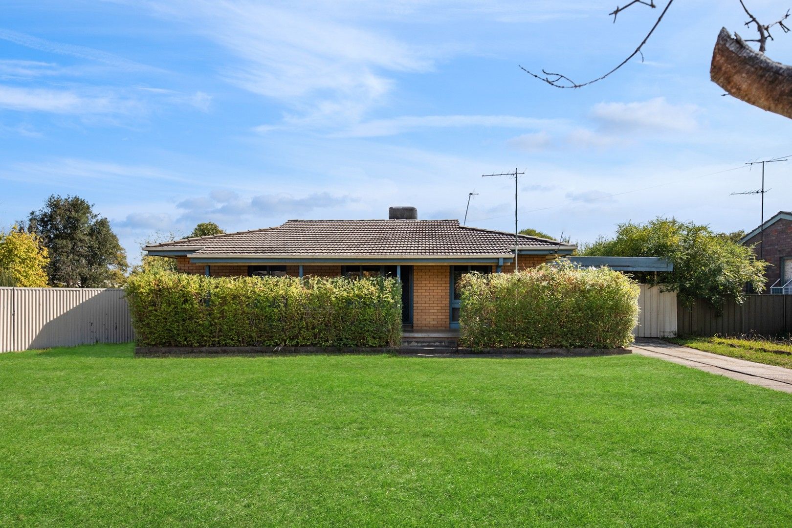 303 Sunshine Court, Lavington NSW 2641, Image 2