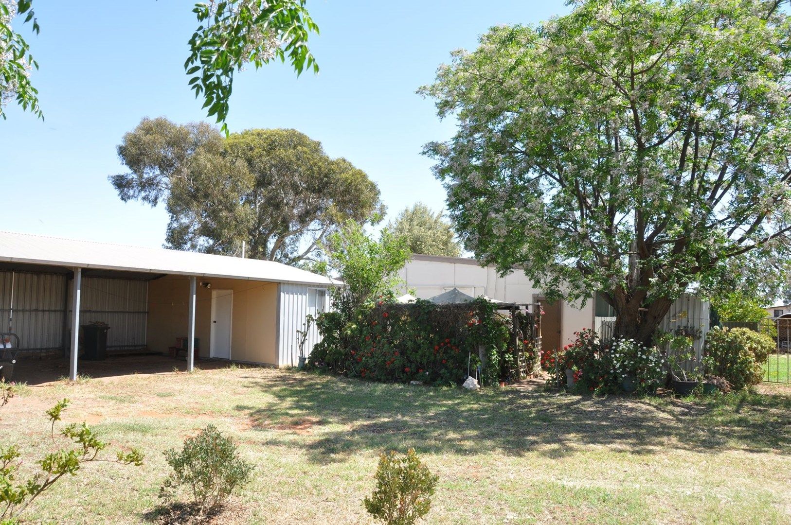 15 Thomas Street, Waikerie SA 5330, Image 0