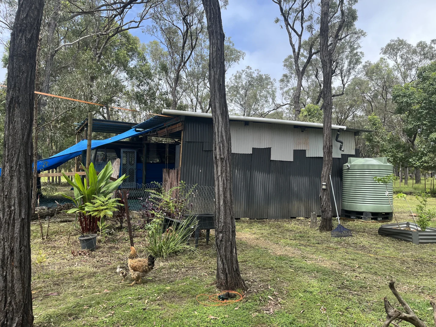 Image 21