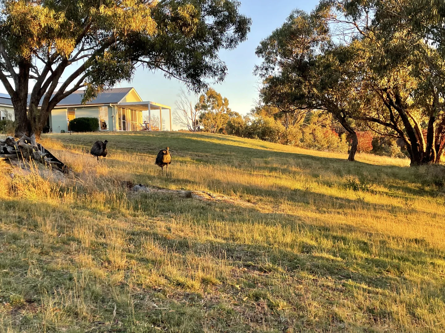 Image 15