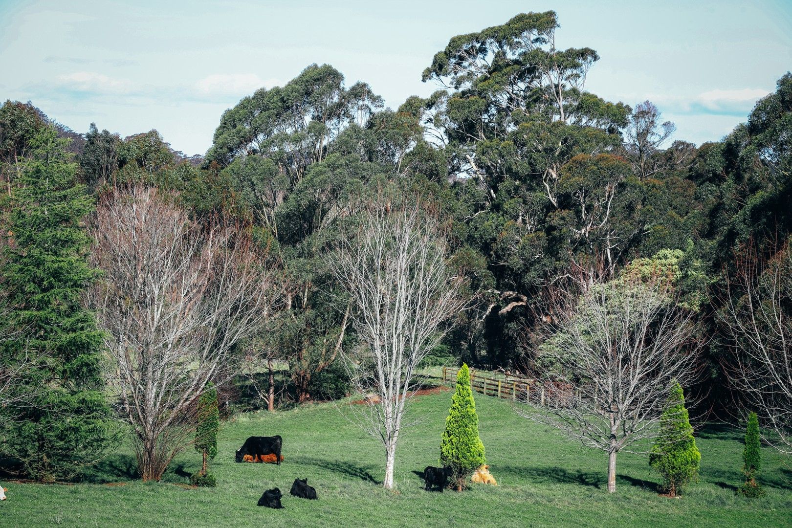 Lot 2/265 Wildes Meadow Road, Wildes Meadow NSW 2577 House for Sale