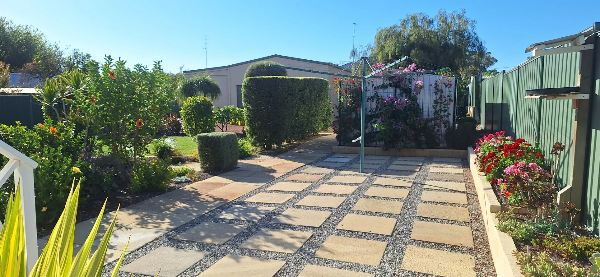 Image 20