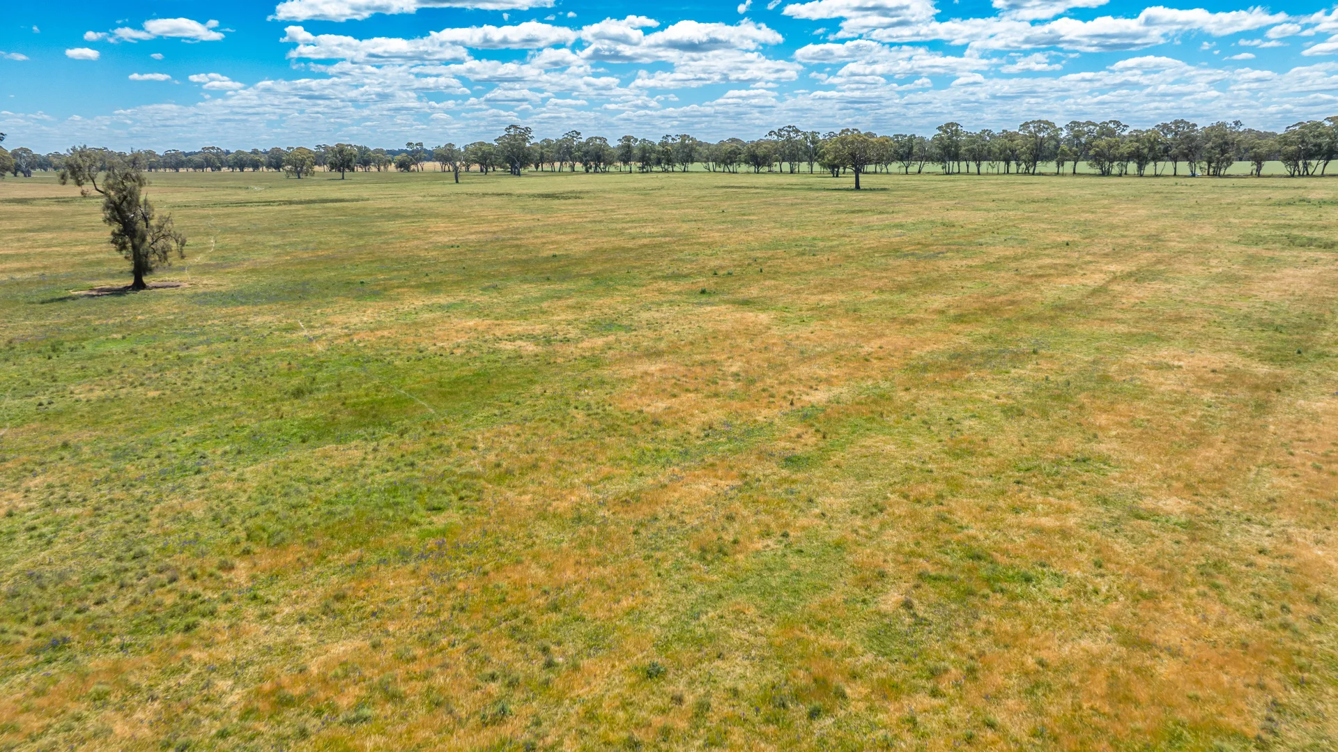 Additional image 25 of CA1, Section W Taylors Bridge Road, Norong VIC 3682