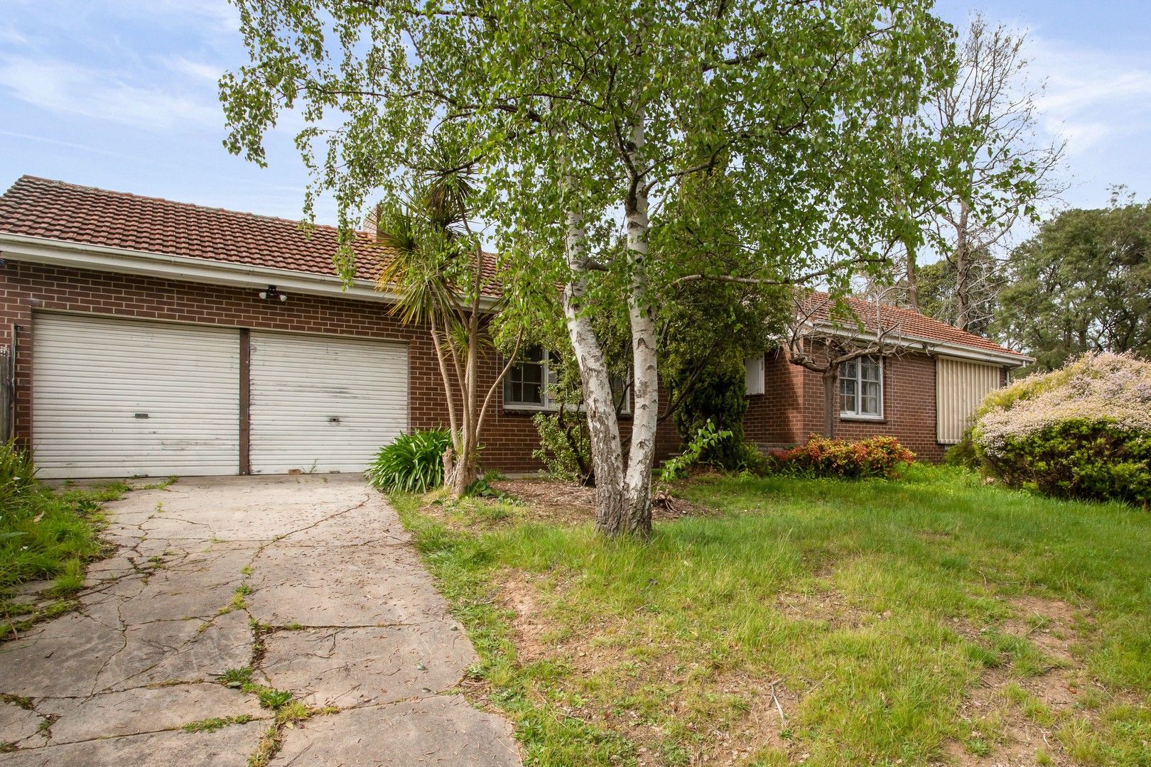 46 Thomas Street, Croydon South VIC 3136 House For Rent 500 Domain