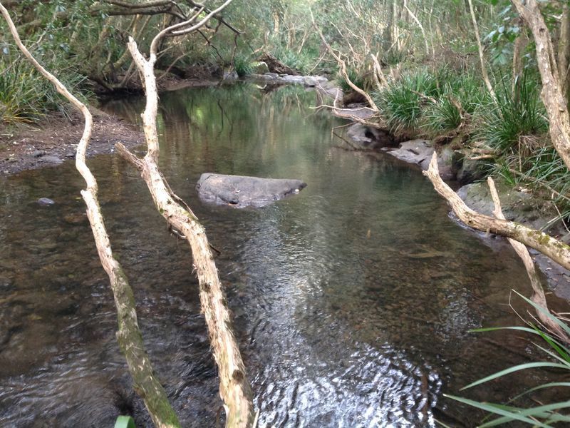 Bobin NSW 2429, Image 1