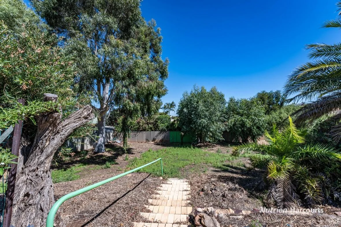 Additional image 15 of 81 Robinson Street, Northampton WA 6535